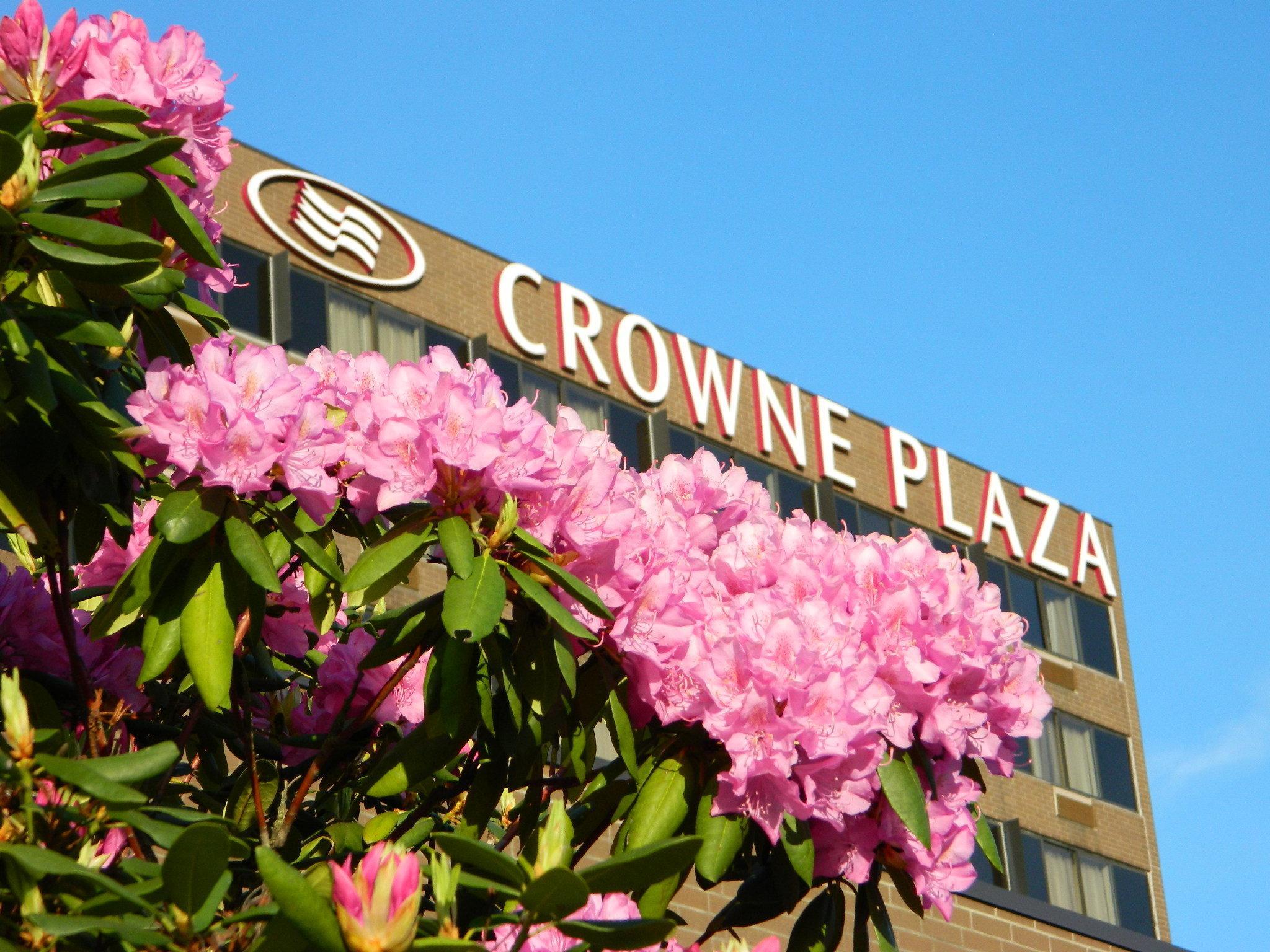 Crowne Plaza Danbury, An Ihg Hotel Ngoại thất bức ảnh